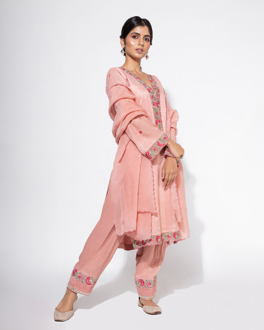 Pink Organza Panel Embroidered Kurta & Salwar Set