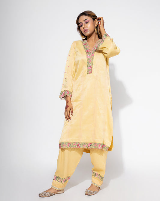 Yellow Organza Panel Embroidered Kurta & Salwar Set